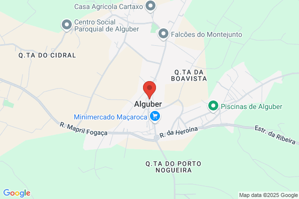 Ana M Velho Lourenü