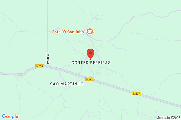Eduardo J J Cortes Pereira