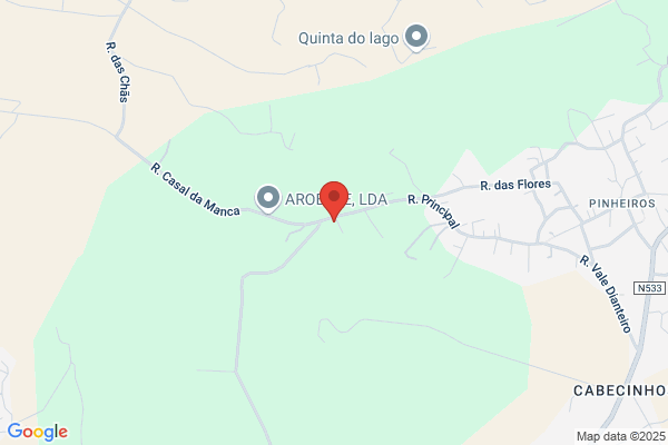 Vimeca-Viagens E Turismo. Lda