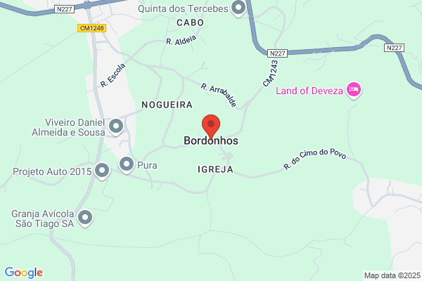 Bordonhos & Bordonhos Lda