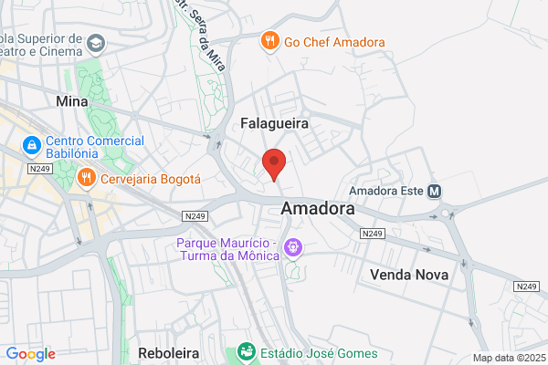 C Marques Dias