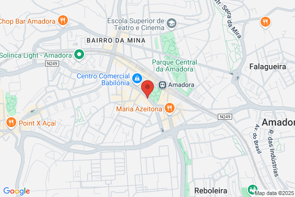 Paula A A Monteiro Martins