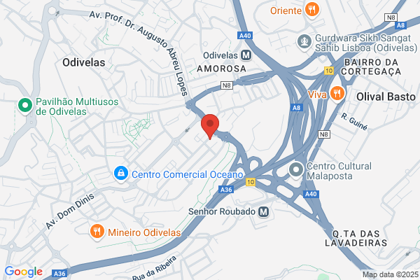 M Teodoro. Lda