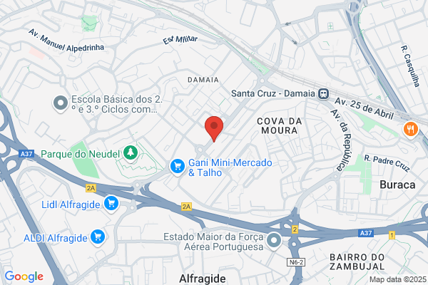 Palma De Carvalho-Industria E Comercio De Automaveis. lda