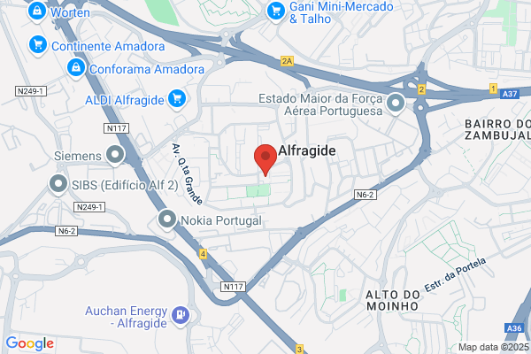 Anabela C Banza Coelho