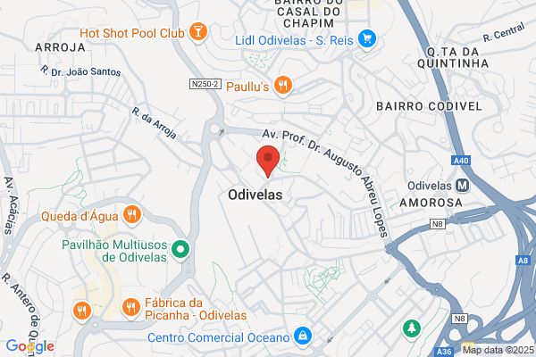 Eco-Escola De Conduï De Odivelas