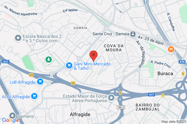 C D P I-Consultadoria E Desenvolvimento De Projectos Informaticos. lda