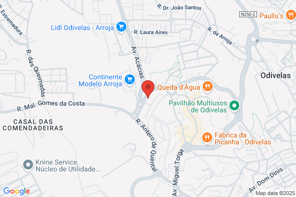 Divina Pizza-Pizzaria E Restaurante