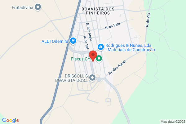 Mirafrota-Transportes,muinas E Madeiras Lda