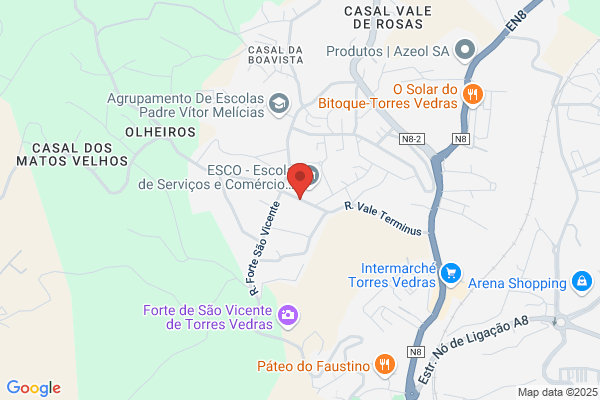 Elisabete M Carreiro Pinho