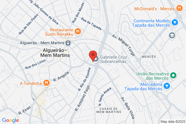 Carla S R C Correia Mendes