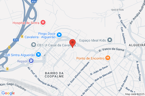 Delfim-Desenhador E Pintor De Publicidade