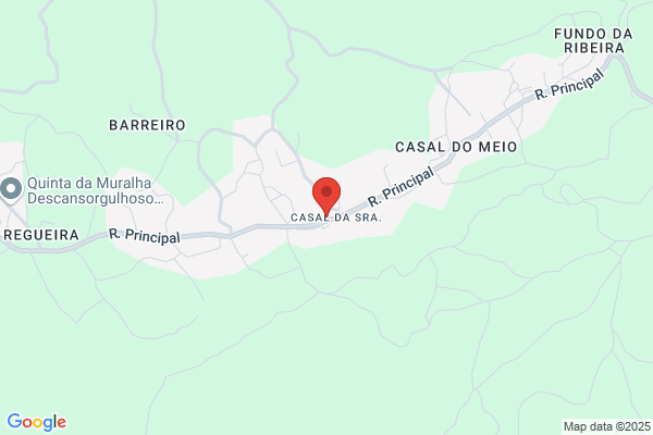Bento C Ribeiro Machado