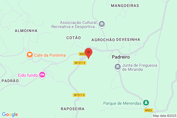 Maria H O Viana Miranda