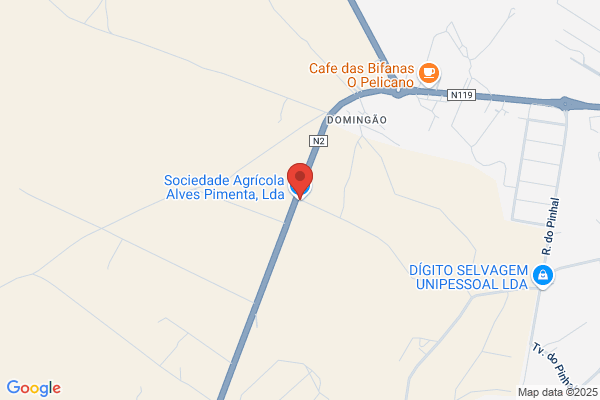 Táxis Alves Pimenta Lda