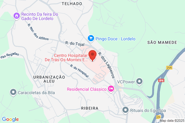 Hospital De Sao Pedro-Vila Real