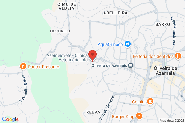 Clínica Veterinária Azemeisvete