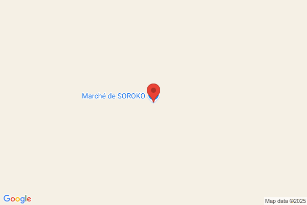 Maria M G Camacho Santos
