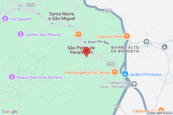 Fernando M Santos Simões