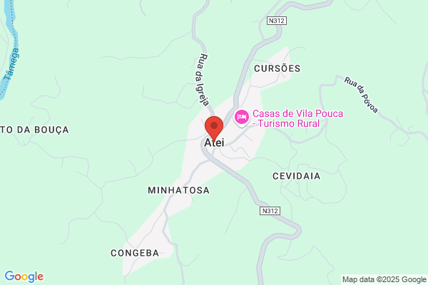 Alzira Gomes Torres
