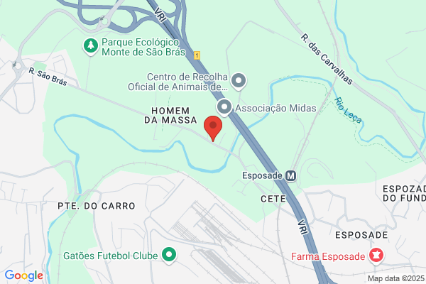 Amândio F Saraiva Silva