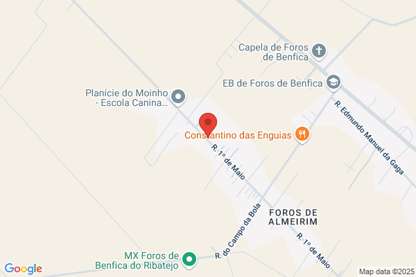 Domingos Nunes