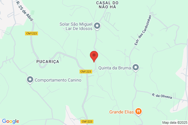 Gfs-Representaes E Distribuiï Lda