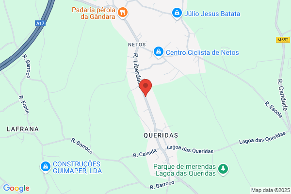 Maria E Martins Sousa