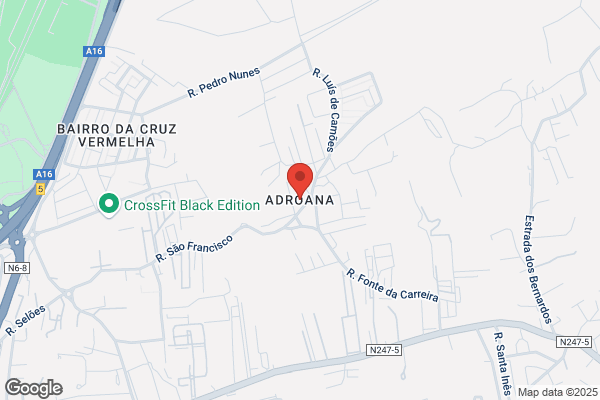Barata Dias