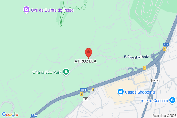 Coisas Giras-Importaiao. Exportaiao. Comercio E Gestao. Lda
