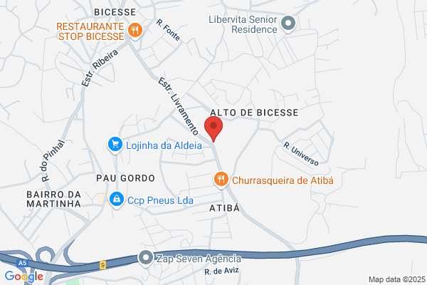 Maria Luesa Dos Reis Conceiiao Custadio