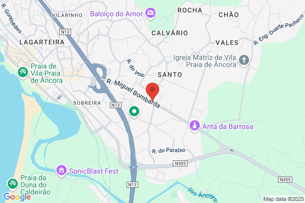 Luís A V D Ramos Afonso