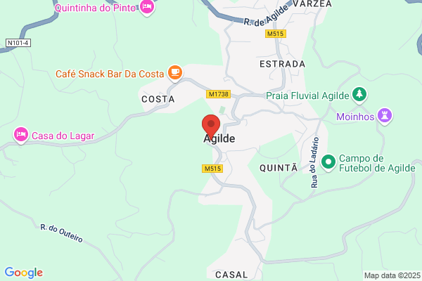 S G N-Sociedade De Gelatinas Do Norte. sa