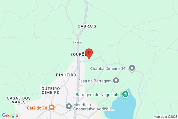 Amadeu Lopes Santos