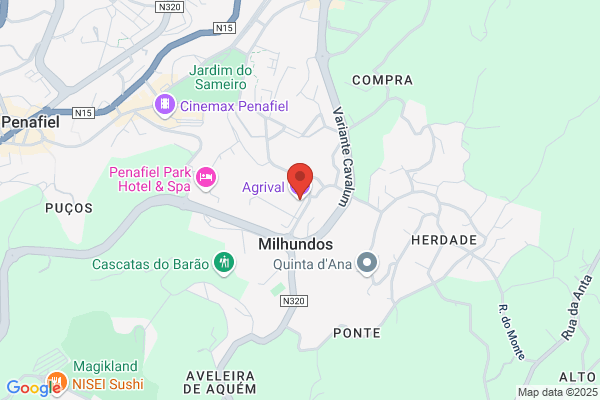 Abílio Rodrigues Coelho