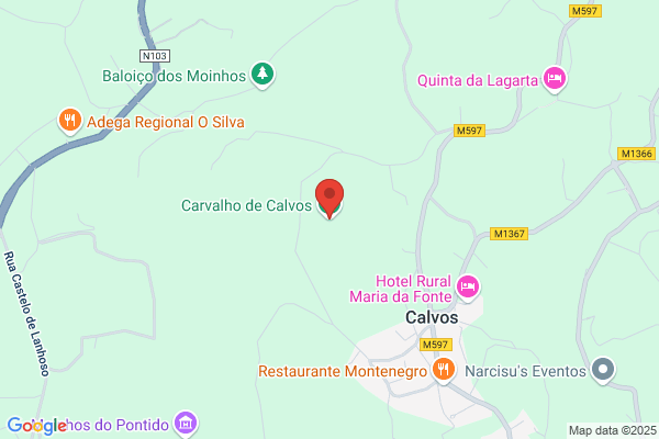 Cabeis De Carvalho