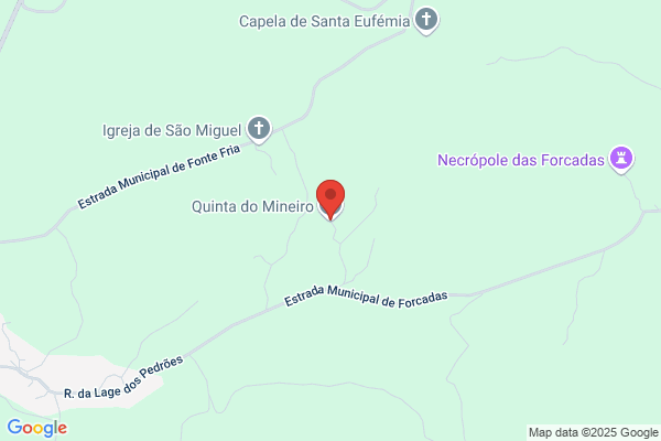 Cia M M Mineiro Ribeiro