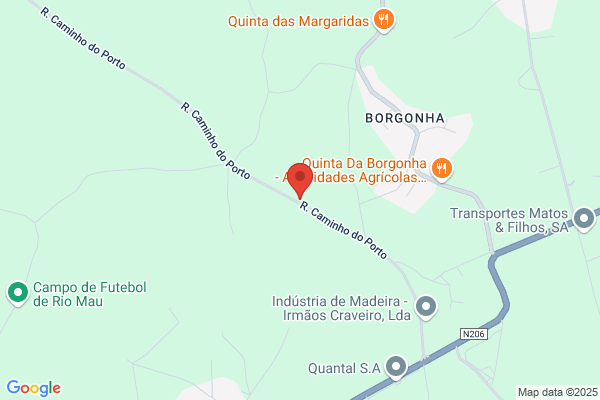 Maria Margarida B S Magalhs