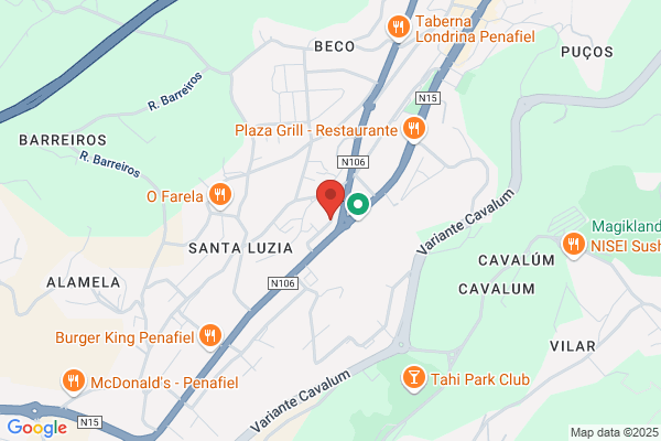 Clínica Veterinária Vila Gualdina Lda