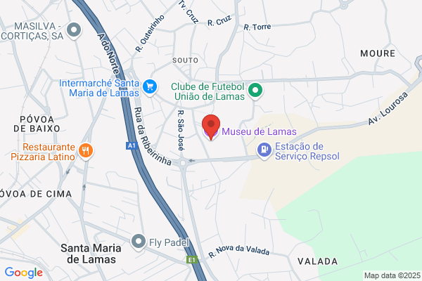 Fòica De Mis Lestro