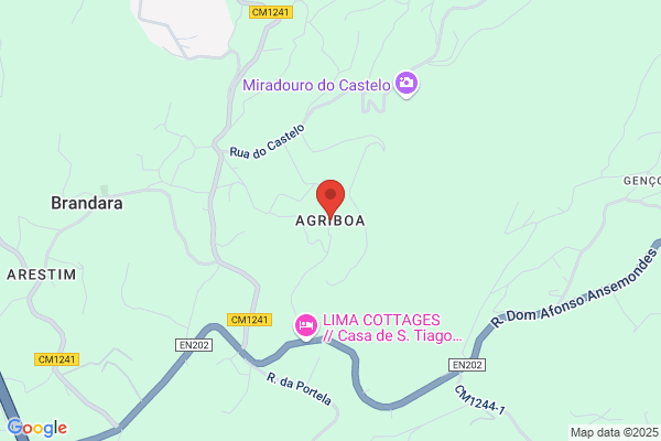 Maria E Gomes Gonçalves