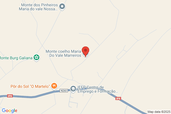 Maria M C M Velho Vale