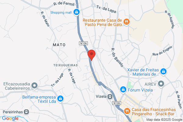 Joaquim A G Silva Peixoto