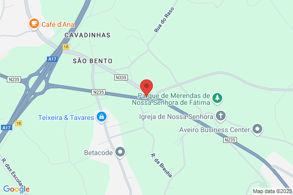 António C S Ferreira Vieira
