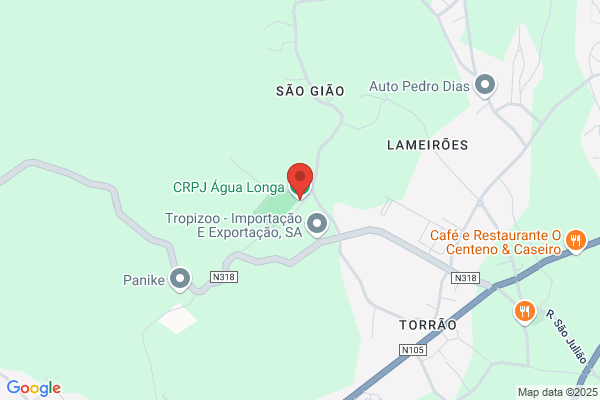 F Gonialves-Publicidade
