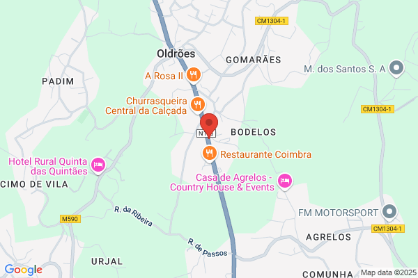 Carlos Gonialves Rocha Ribeiro