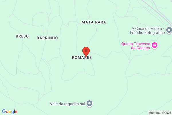 Construiåes Ferreira Da Mata. Lda