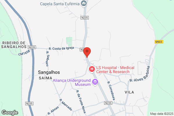 Fundador-Sociedade Importadora De Sangalhos. Lda