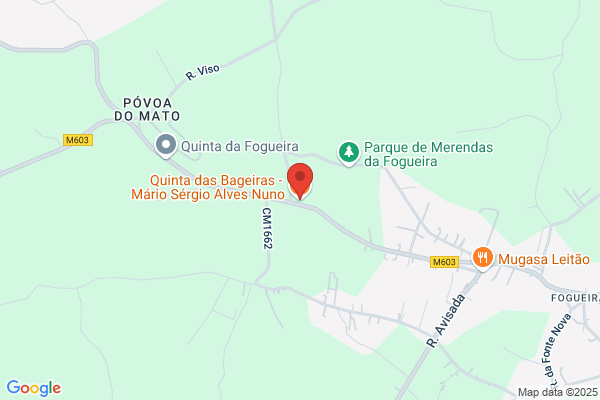 Mario Sergio Alves Nuno