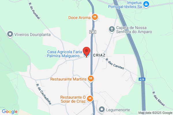Palmira Brandàunipessoal Lda